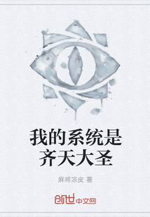 我的系统是齐天大圣