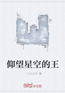 仰望星空的王