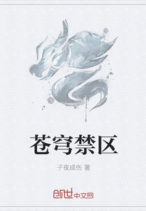 苍穹禁区
