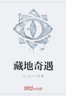 藏地奇遇