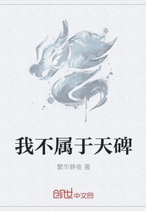 我不属于天碑