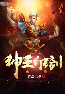 神王印剑全文阅读