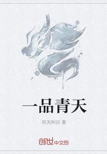 一品青天