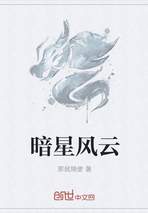 暗星风云