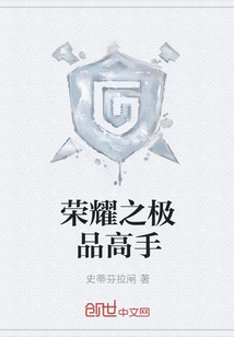荣耀之极品高手