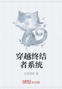 穿越终结者系统