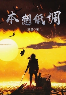 本想低调