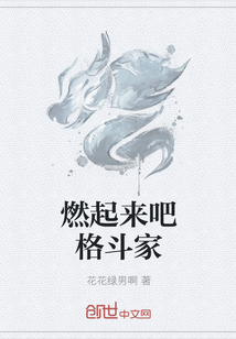 燃起来吧格斗家