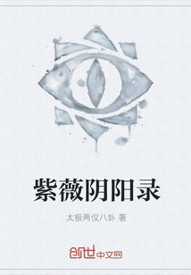 紫薇阴阳录