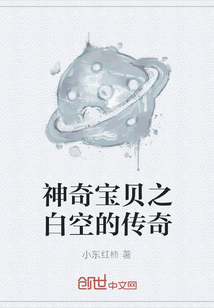 神奇宝贝之白空的传奇