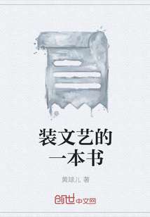 装文艺的一本书