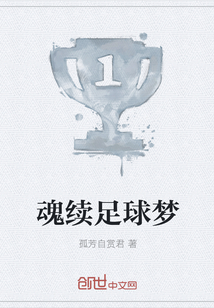魂续足球梦