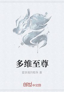 多维至尊
