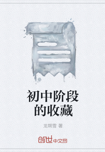 初中阶段的收藏