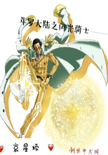 斗罗大陆之闪光骑士