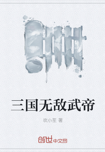 三国无敌武帝