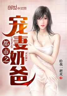 都市之宠妻奶爸