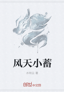 风天小蓄