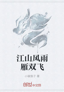 江山风雨雁双飞