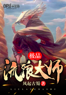 极品流浪大师