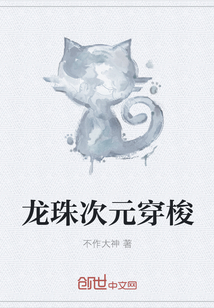 龙珠次元穿梭
