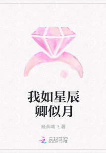 我如星辰卿似月全文阅读