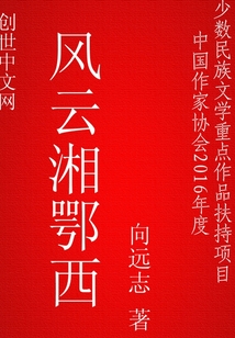 风云湘鄂西
