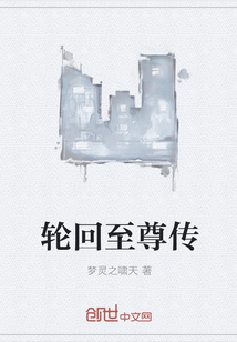 轮回至尊传