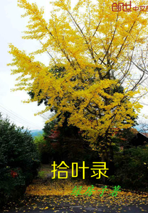 拾叶录