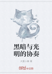 黑暗与光明的协奏