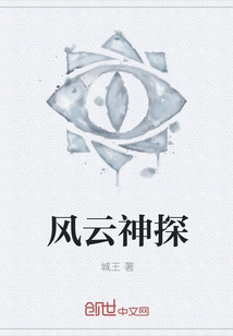 风云神探