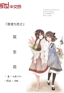 查理九世之双生花