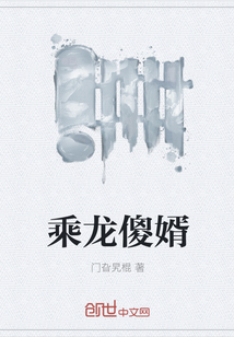 乘龙傻婿