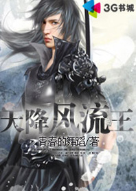 天降风流王