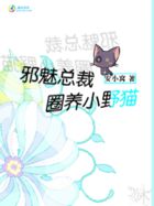 邪魅总裁圈养小野猫