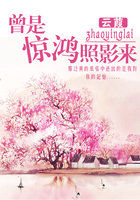 曾是惊鸿照影来全文阅读