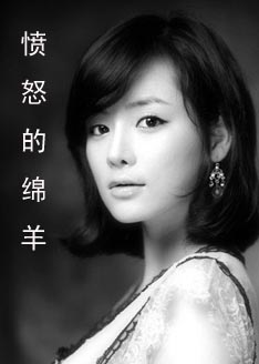 【完结】复仇天使：愤怒的绵羊