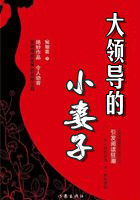 《大领导的小妻子》txt全文阅读