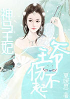 神马王妃：王爷伤不起