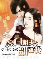 《豪门姐夫，别碰我》txt全文阅读