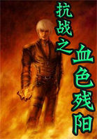 《抗战之血色残阳》txt全文阅读
