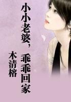 小小老婆，乖乖回家全文阅读