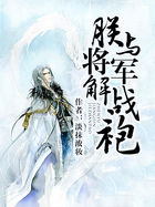 朕与将军解战袍全文阅读