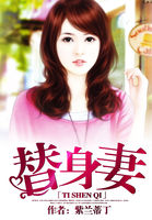 替身妻全文阅读