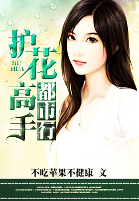 护花高手都市行全文阅读