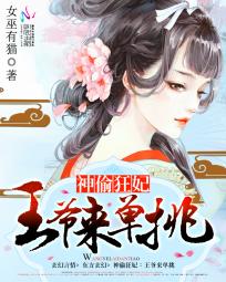 《神偷狂妃：王爷来单挑》txt全文阅读