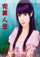 《完美人生》txt全文阅读