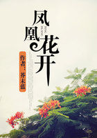 凤凰花开全文阅读