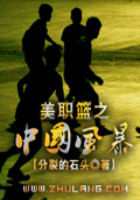 美职篮之中国风暴全文阅读
