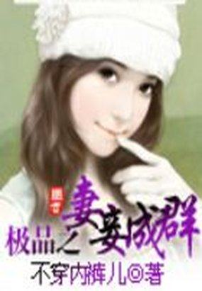 《极品之妻妾成群》txt全文阅读